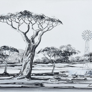 Black & White Land